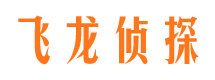 卫东市侦探调查公司